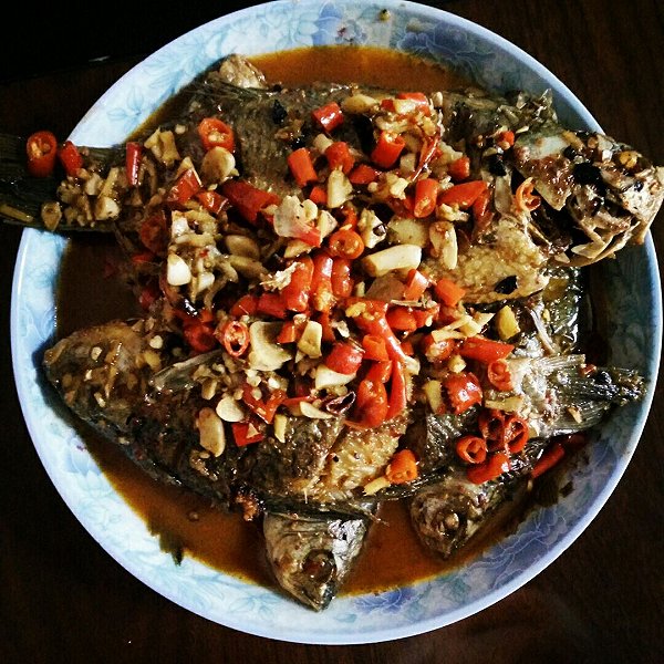 田螺家做法大全：打造宠物护理的温馨秘籍