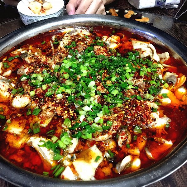 芝士球 做法：宠爱你的味蕾与毛孩