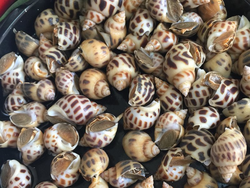 生抽泡椒的做法：唤醒味蕾的美食之旅